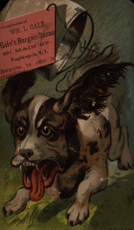 usfspecialcollections:Late 19th century, advertising cards, found while searching for late 19th cent