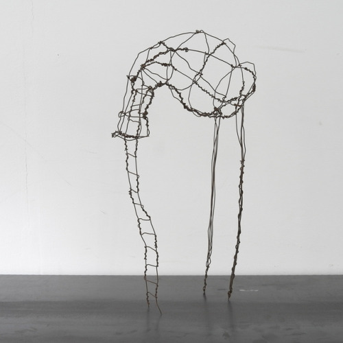 Nacho Carbonell, Study Collection