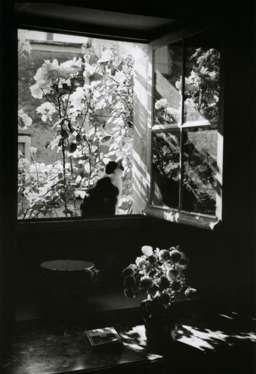 i-love-art:    Édouard Boubat     1923, París, Francia -    junio de 1999, Montrouge, Francia   