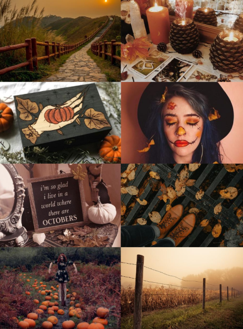 mypieceofculture:Witch Aesthetics // Scarecrow WitchRequestedTime Witch | Empress Witch | Paste