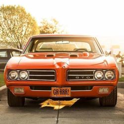 chevygirl78:  musclecardefinition:‘69 GTO