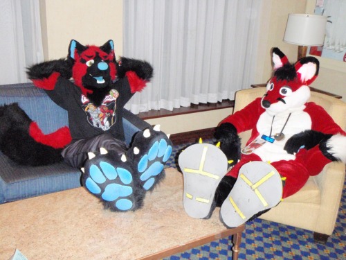 Some footpaws for you all. :3