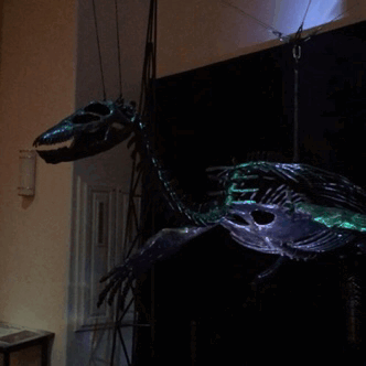 theotherwesley: I forgot I took these!  These are life-sized articulated puppets