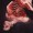starksinner:  BE LIKE…Tony Stark. You don’t need to live under the shadow of