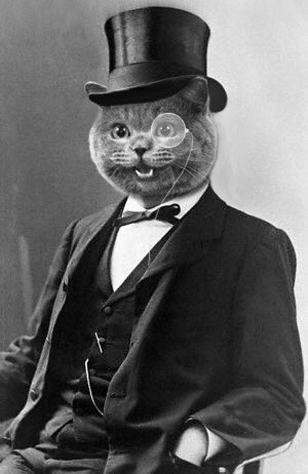 Monocle cat.