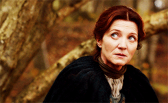 Gif Memeanonymousasked:The Starks + 7 (colours Abound)