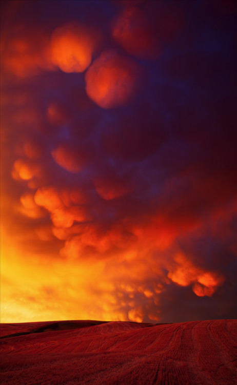 awkwardsituationist:  mammatus clouds, named for their resemblance to the mammary gland, form when air laden with big water droplets is carried to the top of a thunderstorm cloud whose altitude is cold enough to freeze the water droplets. the resulting
