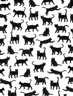 blackandwhiteillusion:  Le petits chats Art