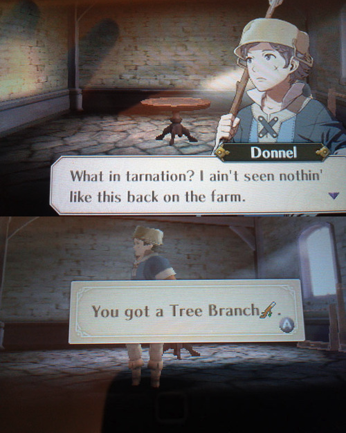 ylissean-tactician-lunesol: donnel what kind of farm did you live on