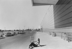 inthedarktrees:  Woman Sunbathing, Portland, Oregon, 1973  Paul McDonough | via Sasha Wolf