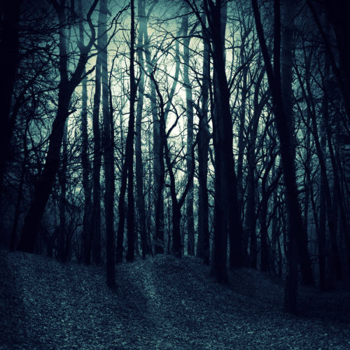 darkface: Dark Woods by ~E-DinaPhotoArt