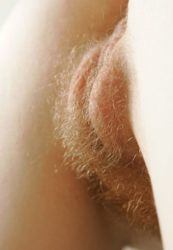 blondelover:  hairpies:  hairpies.tumblr.com