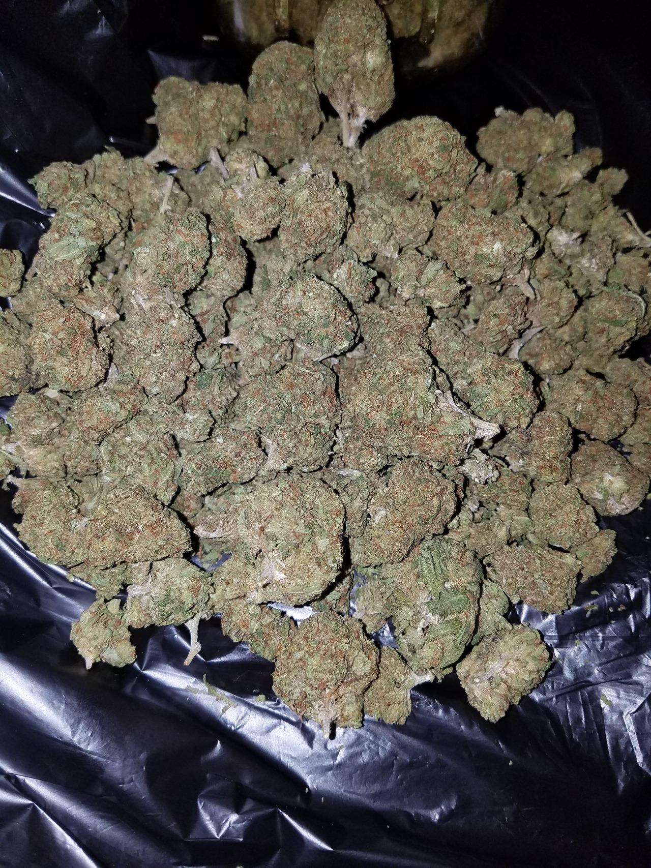 Us And Weed Tumblr Us And Weed Tumblr