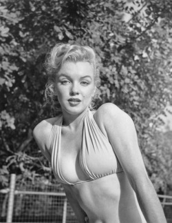 lookuntilyoudie: Marilyn Monroe
