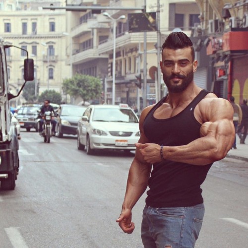 sexymusclebeast7:  Mohamed Elqadi @mo.qadi #mohamed elqadi