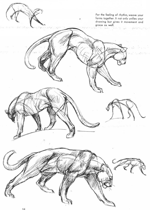 If You Love Animals Or Drawing Then You Should Add This Book To Your Collection. The Art Of Animal Drawing