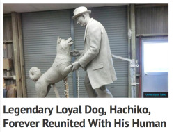 fencer-x:micropet:THE UNIVERSITY OF TOKYO FINALLY REUNITED HACHIKO AND HIS OWNER EVERYTHING IS OK LOVE IS REAL THANK GOD FINALLY.
