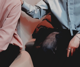 ( 13 / ? ) Random Gifs Of Stray Kids