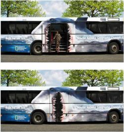 coolthingoftheday:  Creatively painted buses.