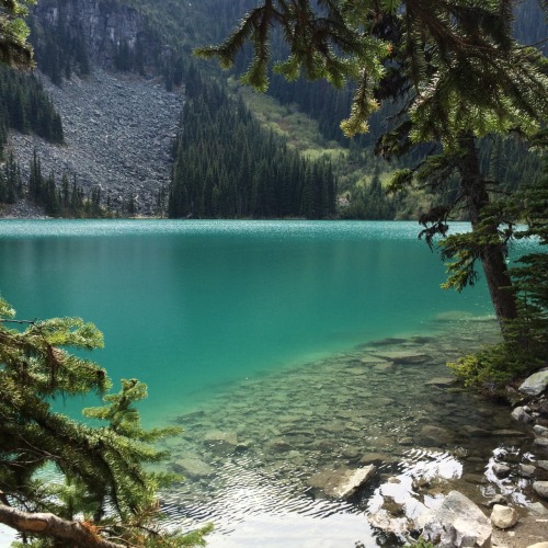 fluerly: Look at this place!