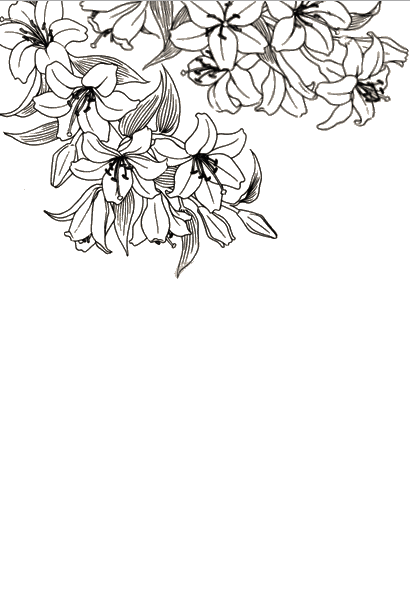 suunburst:  transparent flowers for your blog   thank you