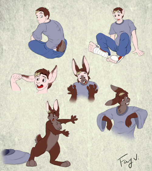 Rabbit TF by Fay V.