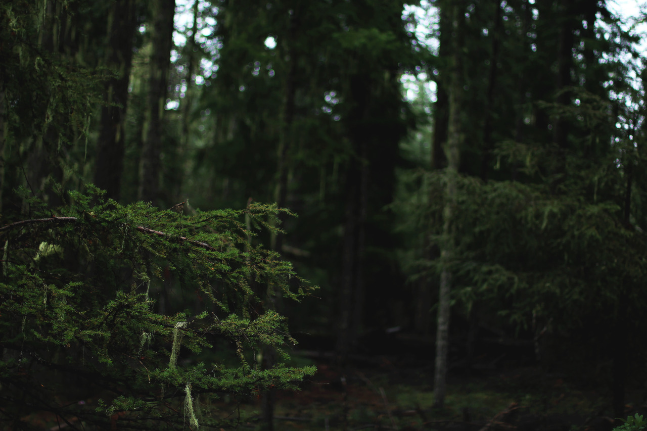 garettphotography: October 29th, 2016 | GarettPhotography