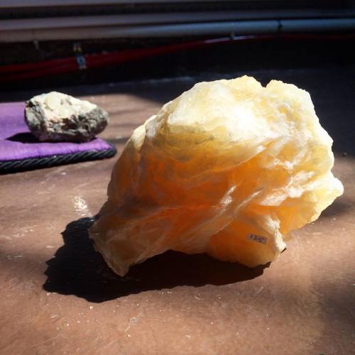 We have some Angel Wing Selenite and Calcite chunks soaking up the beautiful, happy sun vibrations :