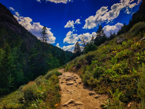 peternoahthomas: Heading on up  Heading up, on our way to the falls. What a gorgeous day for a hike,