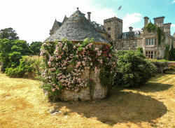 allthingseurope:  Beaulieu Palace House,