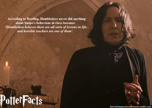 roachpatrol:daemoninwhite:shewhohangsoutincemeteries:PotterFacts 355/404 | Cast and Characters&l