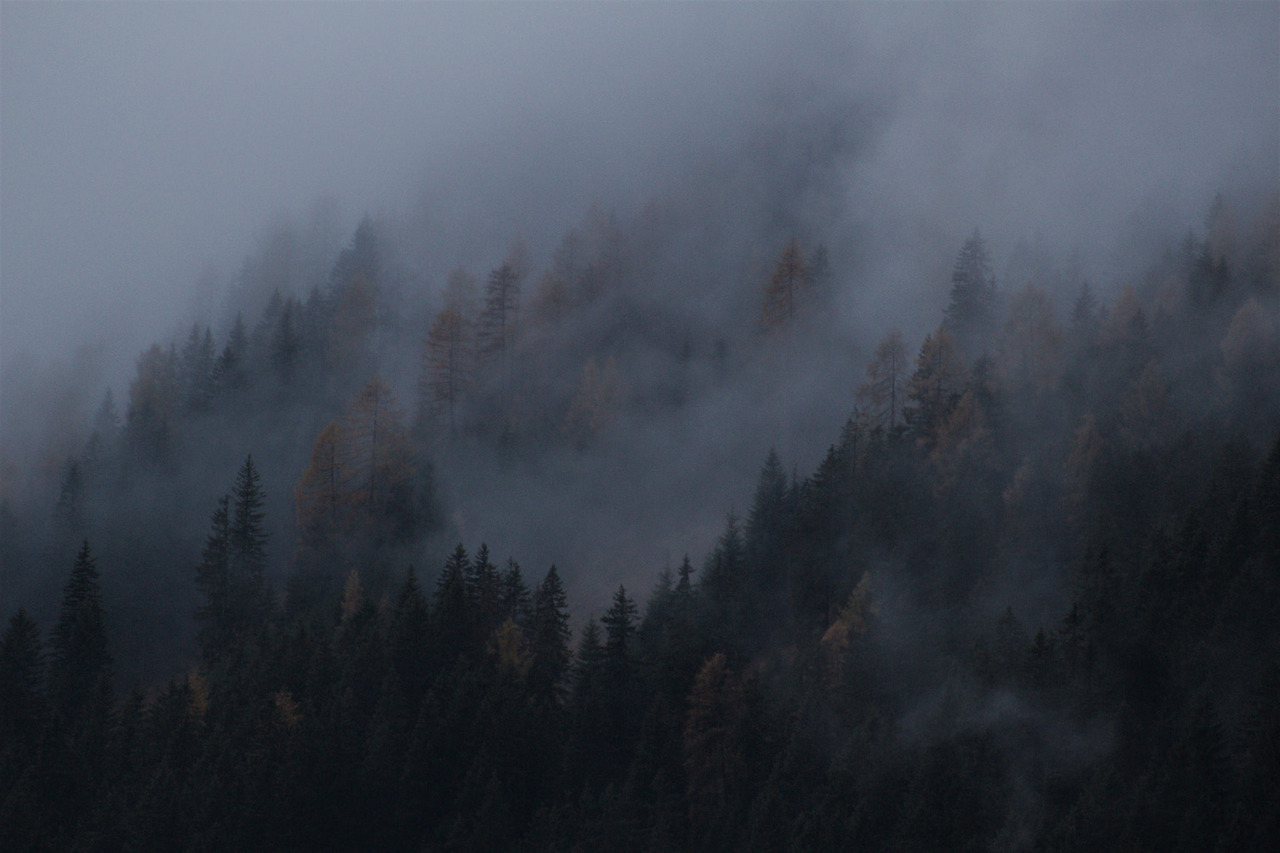 90377:  IMG_6648 by Martin Peřina  