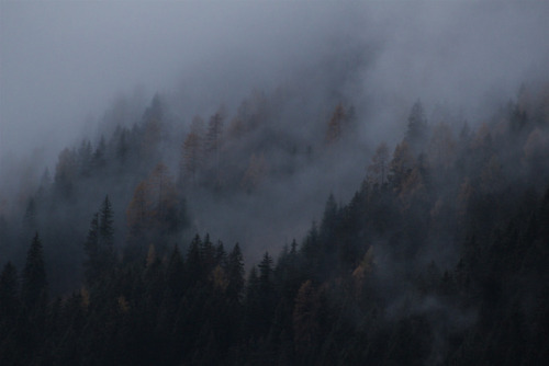 90377:  IMG_6648 by Martin Peřina  