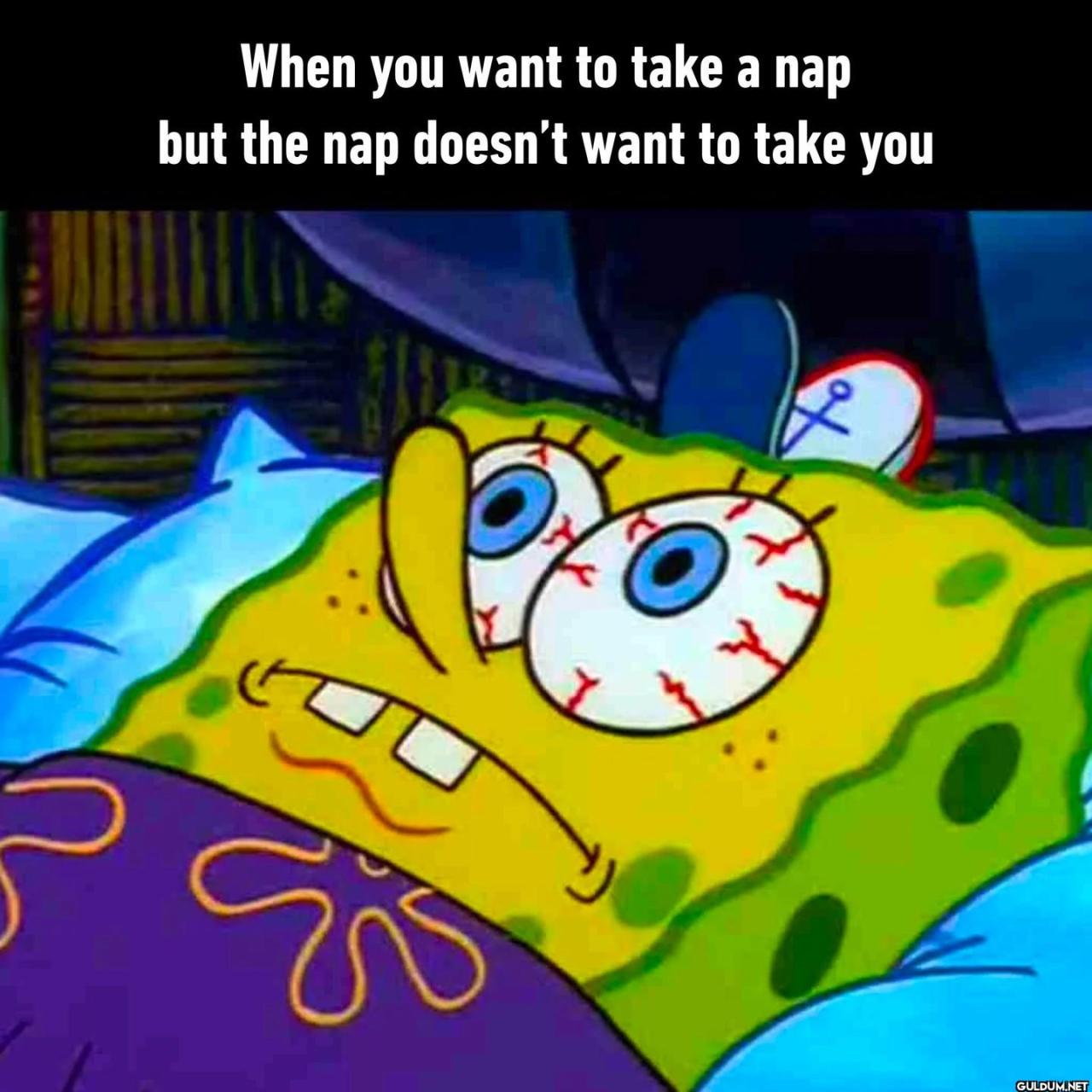 9GAG Go Fun The World On September 07 2023 May Be A Meme Of Sleeping 9gag-go-fun-the-world-on-september-07-2023-may-be-a-meme-of-sleeping