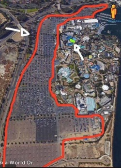 biggbrother17:  The red line shows the size of SeaWorld’s parking lot. The green line is where the Orcas spend their entire lives. 