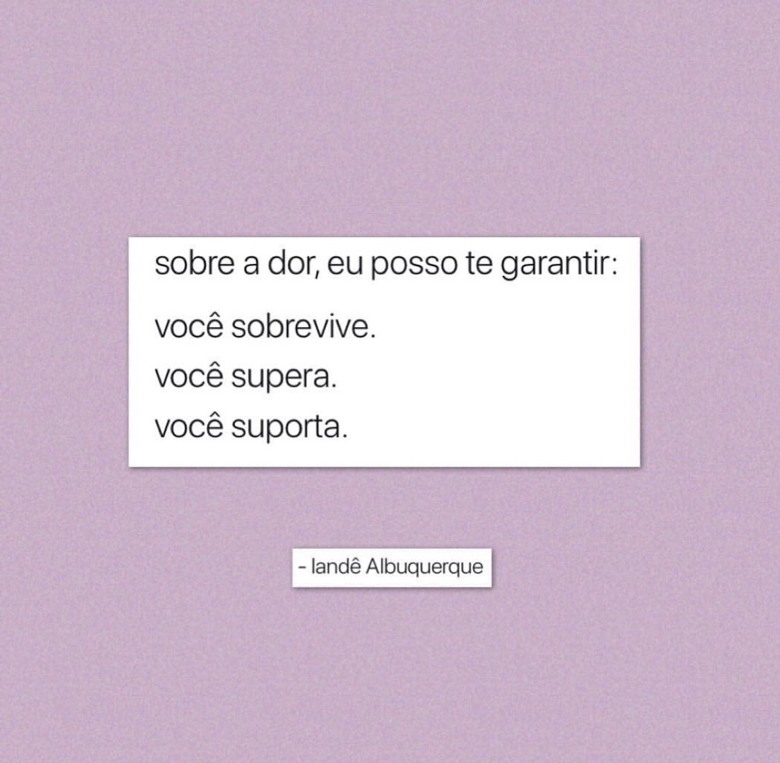 seu-bobo-da-corte:  