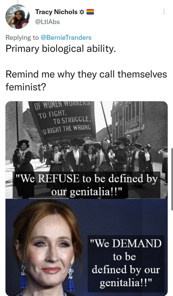 Terfs Unironically Think That A Woman's Primary Biological Purpose Is To Give Birth And Still Call Themselves