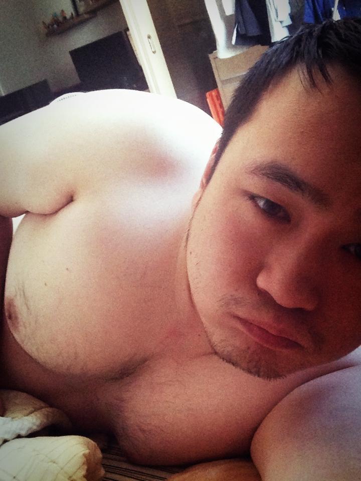 Asia bear