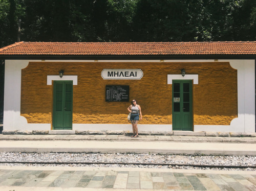 Yesterday we got the little steam train of Pelion from Milies to Ano LechoniaThis stunning route too