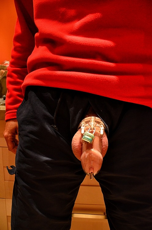 chastity-and-piss:  Day 52 (part one) Peek-a-boo ! 