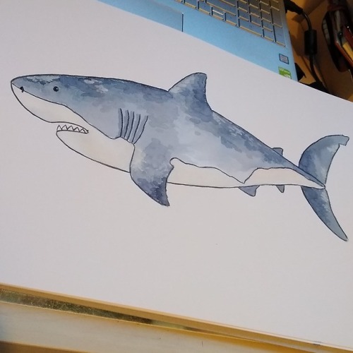 Blue Whale, Great White Shark and seaweed guys watercolour doodles.
