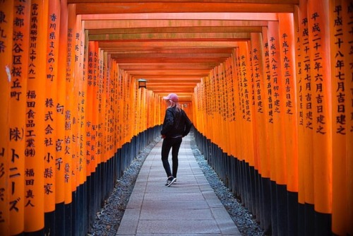 Everything passes. . . . . #日本 #japan #fushimiinari #torii #kyoto (at Fushimi Inari-taisha)