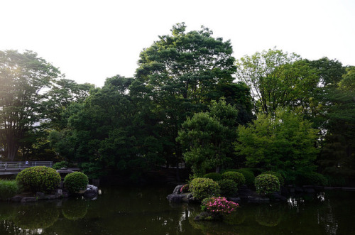 Pond in National Diet Front Garden by ykanazawa1999 on Flickr.
