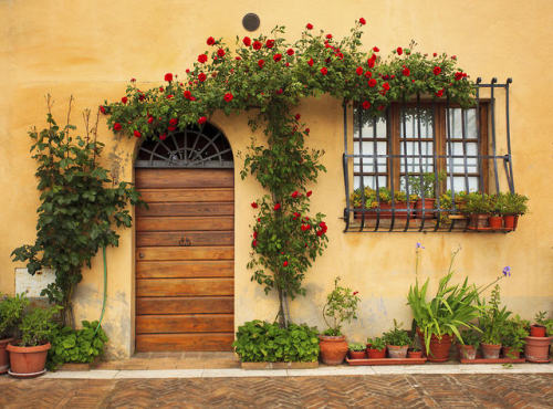 wanderlusteurope:Picturesque doorway found in Montepulciano, Italy