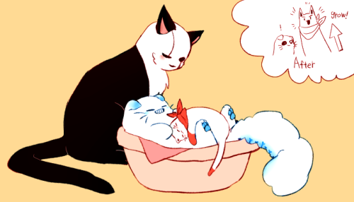 black-tangerine:  kittytale! 동물화 태그는 뭐라고 적어야 하나요? (쌩ㅇ초보….) 