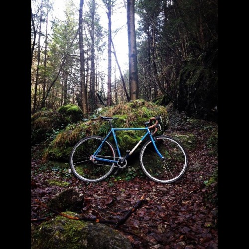 Gravel day // Passo della Presolana Explorer#sscx #pedaljungle #moss #ciclocross #passodellapresol