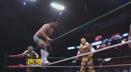 awesomebutternuggets:  Lucha Libre Elite - Lucha Azteca - July 28 2016Rocky Lobo