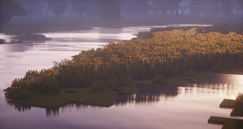 obscure-rain:A small autumn marshland ~Got inspiration from a park near me.