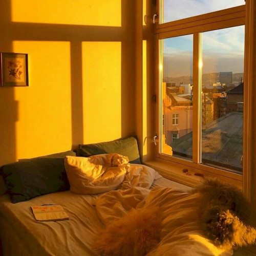 Yellow Vibes
