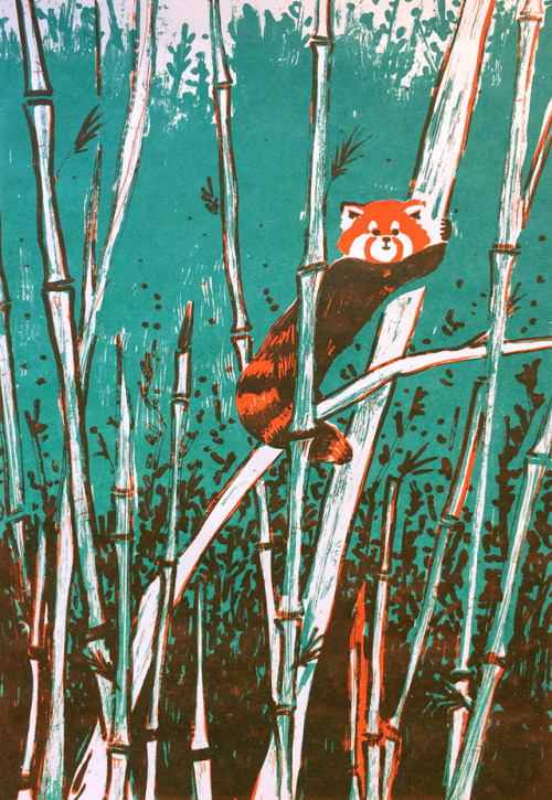 courtdraws:2-color red panda screen printed design! a few prints are available here for a short